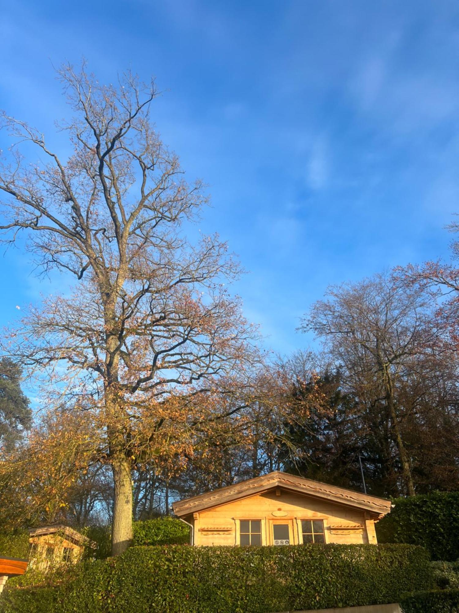 Mondorf Parc Hotel & Spa Eksteriør billede